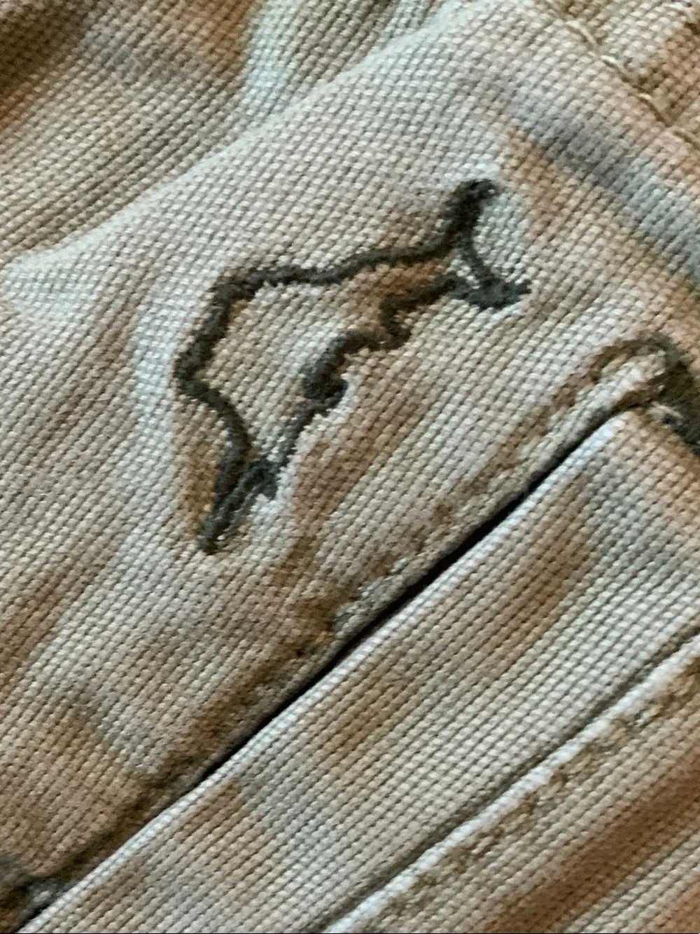 Tommy Bahama tommy bahama